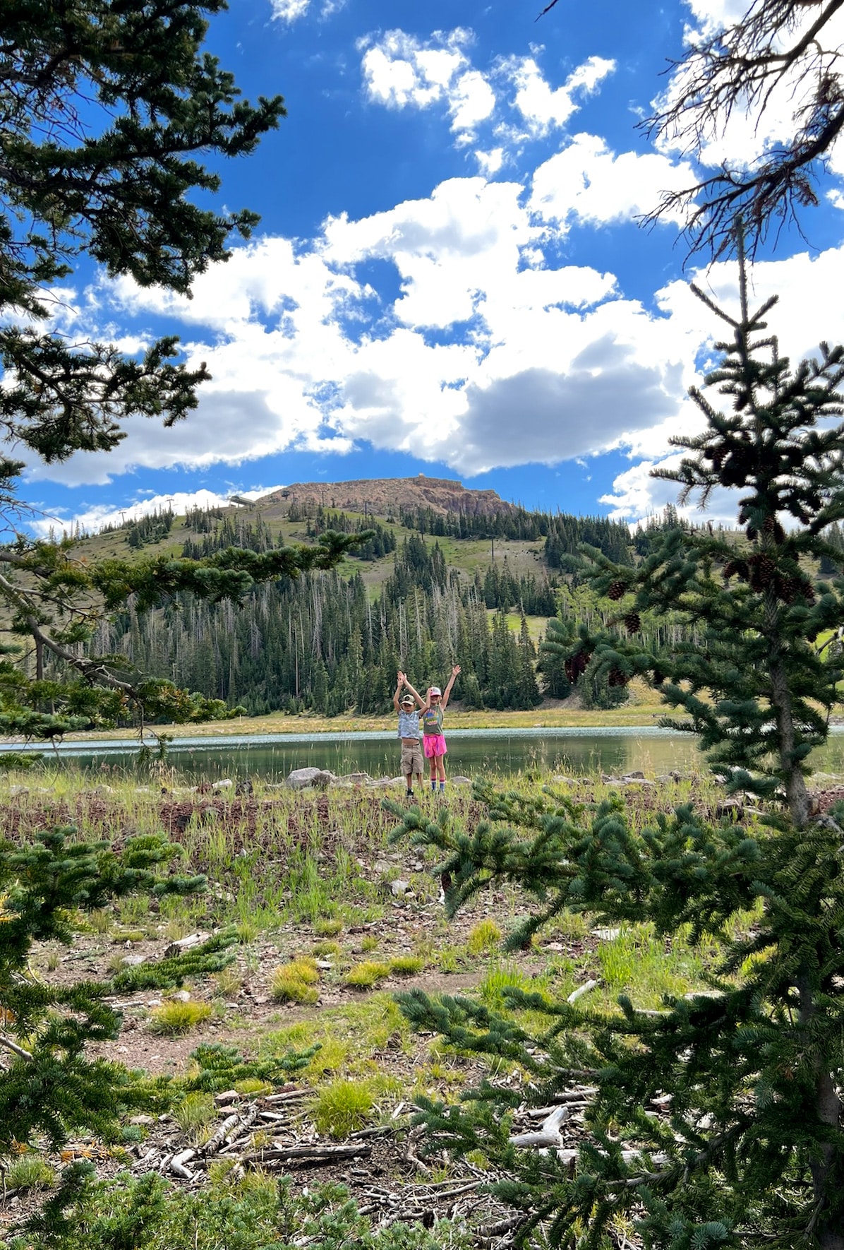 Kids Hiking the Adventure Trail