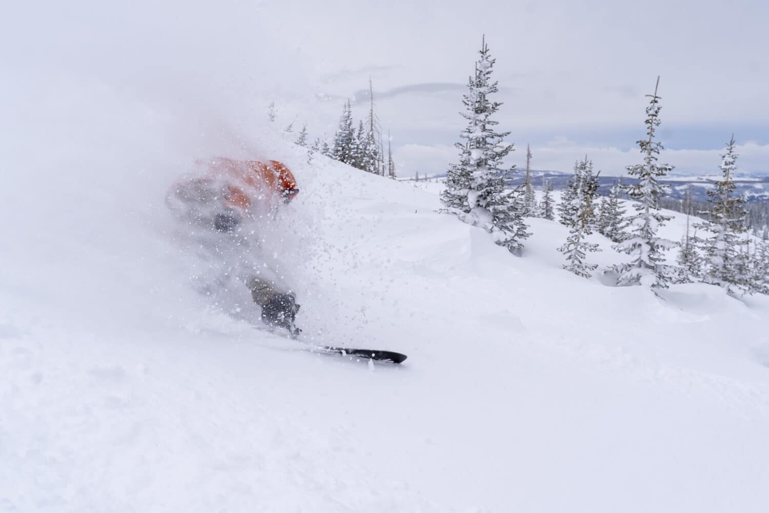 powder shot