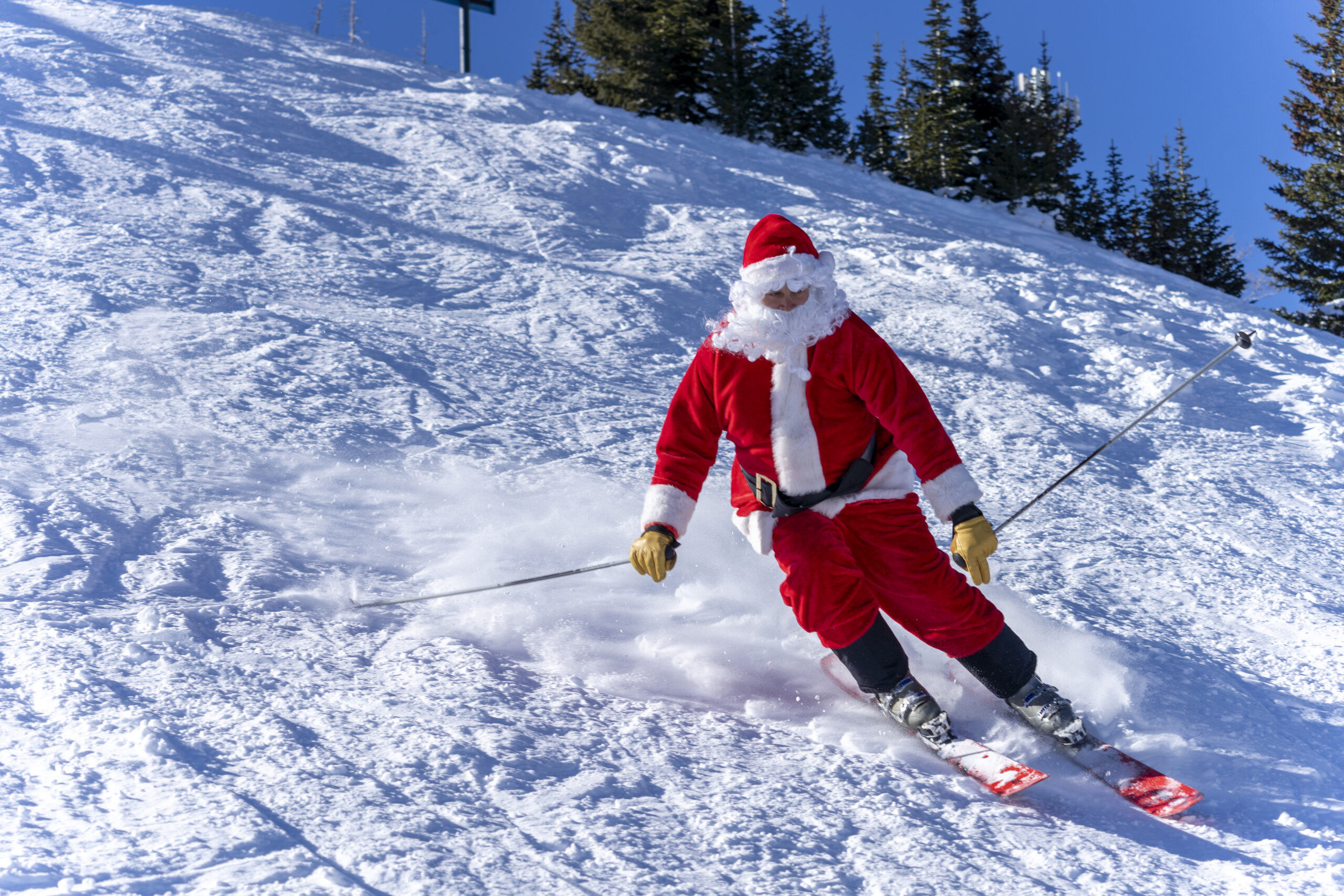 Shred with Santa