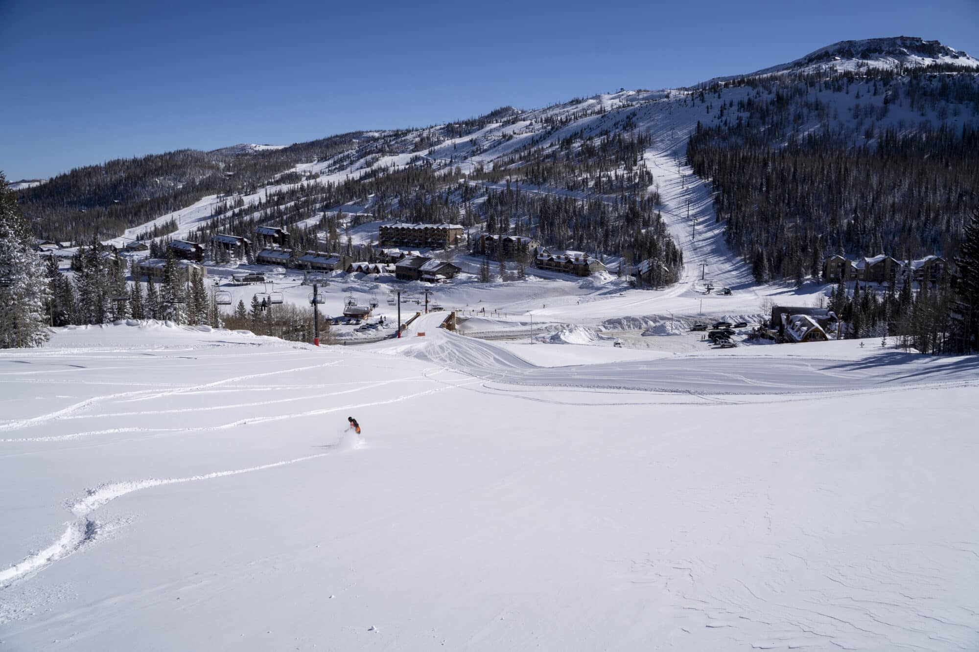 Bluebird Powder Day in March spring Skiing