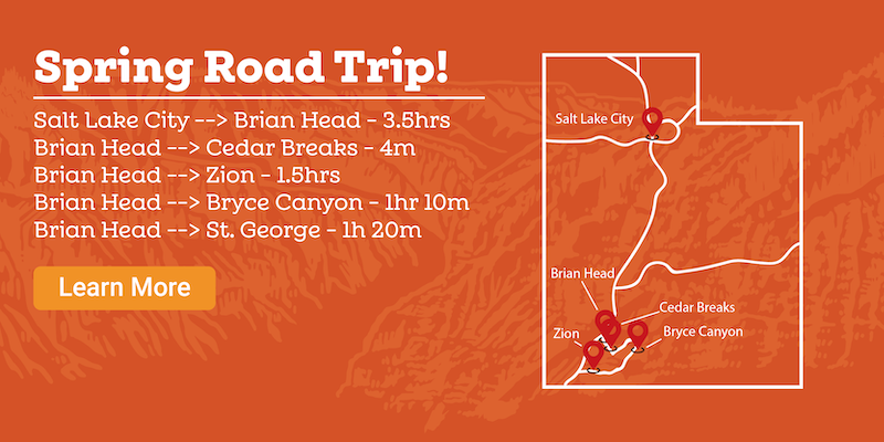 Spring Road Trip