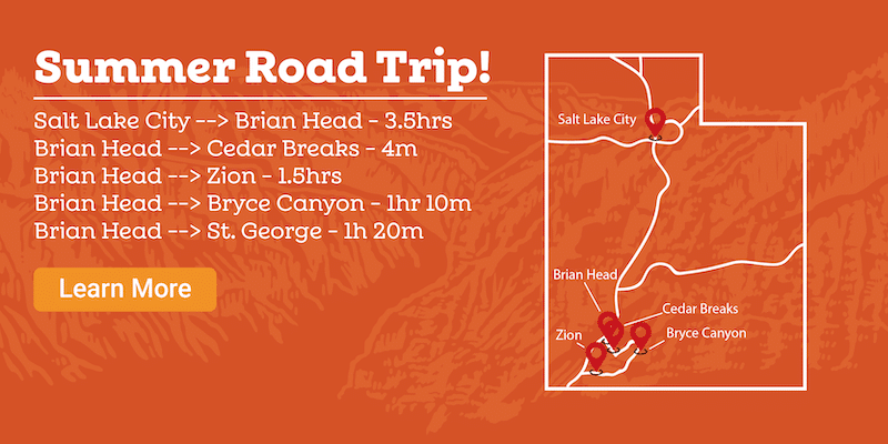 Summer Road Trip