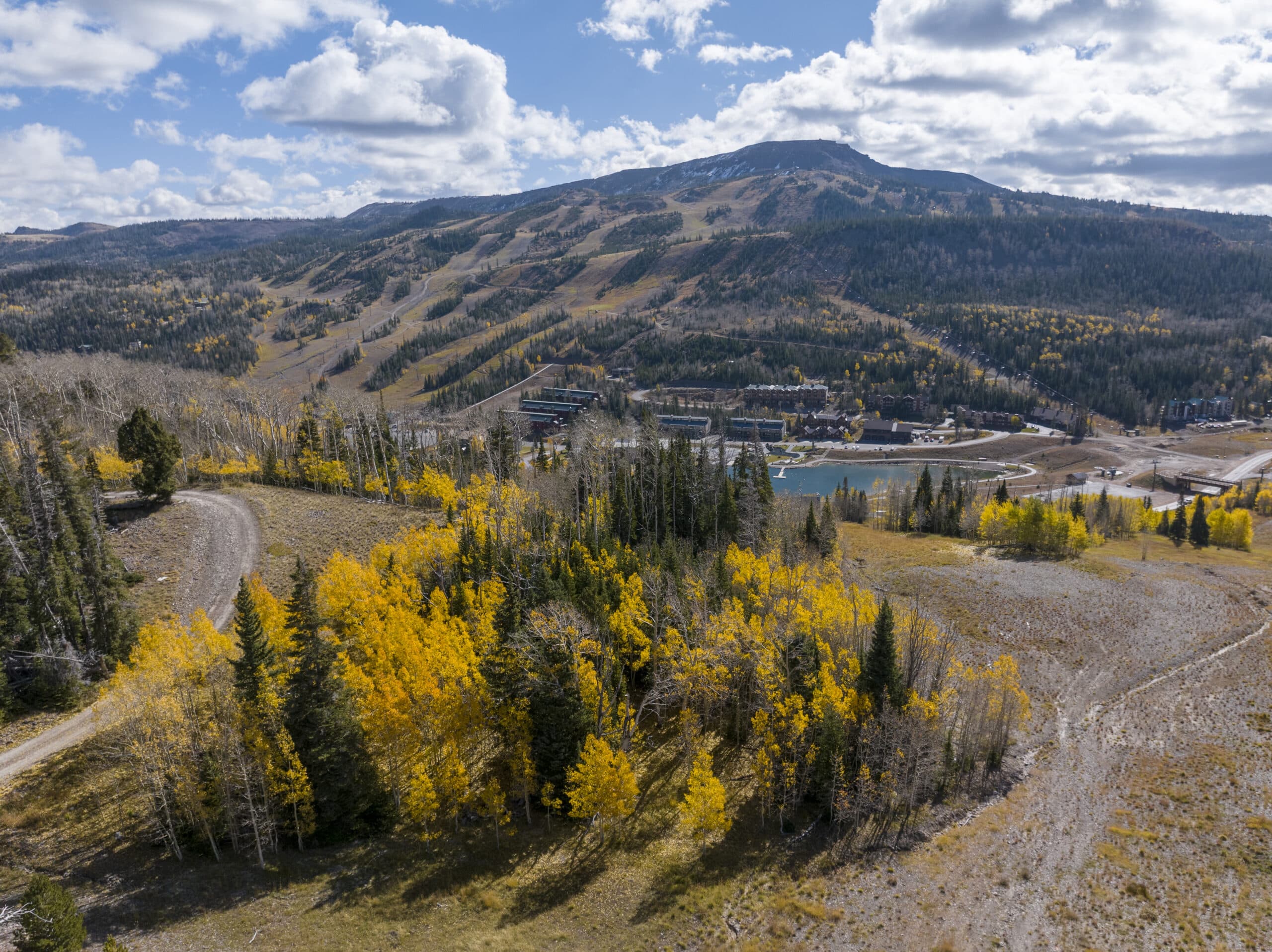 Fall Colors