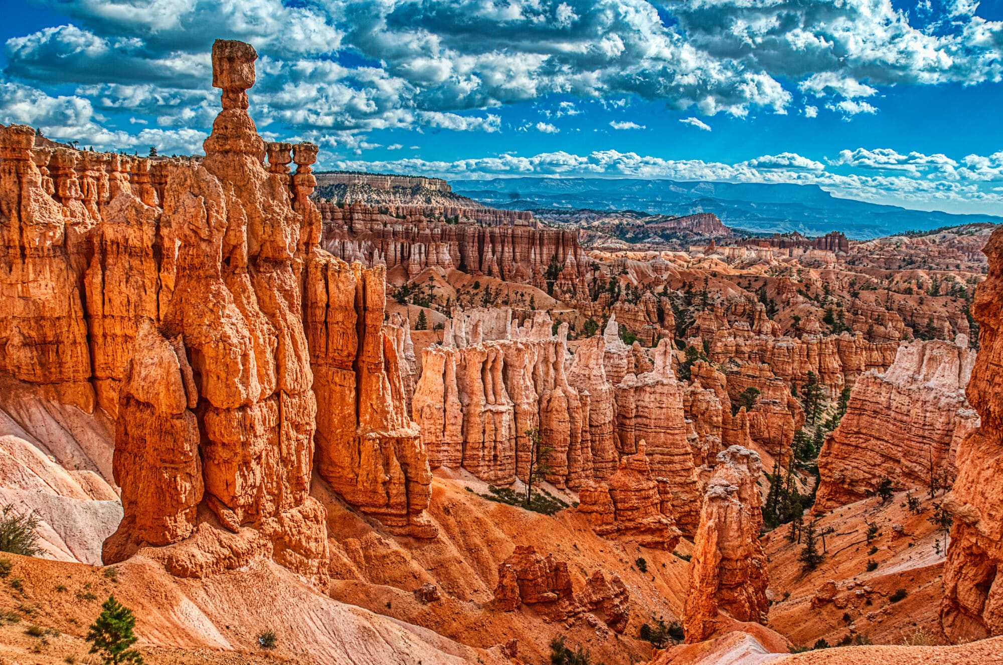 Bryce National Park